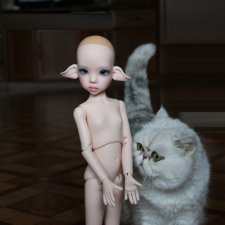 Что не вошло в кадр. Без конкурса.