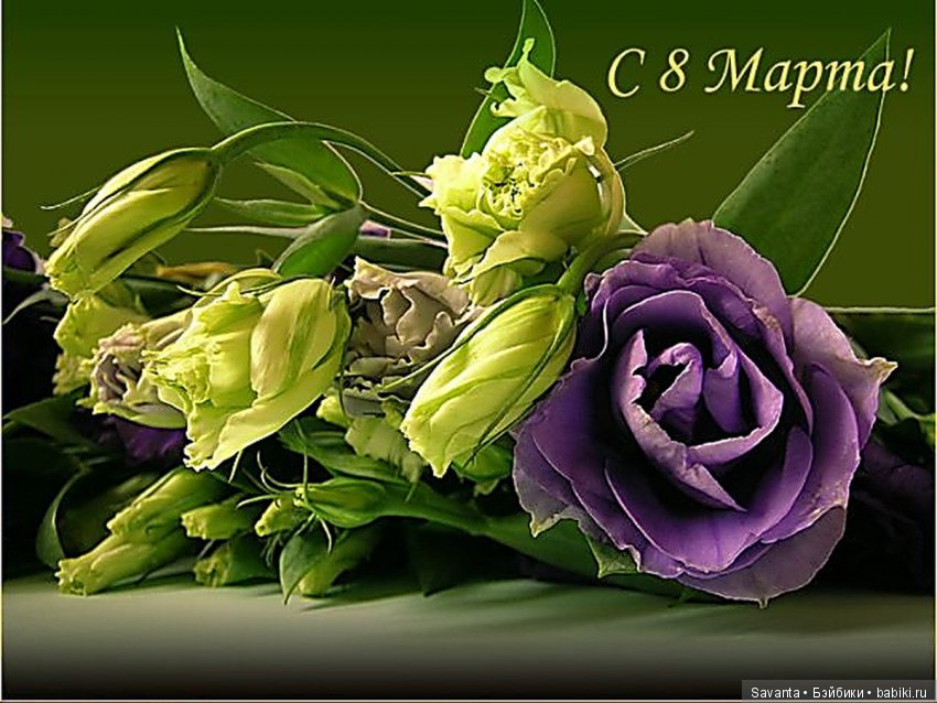 Мои девочки Kaye Wiggs поздравляют всех женщин и нас с вами с праздником 8 марта (фото 3)