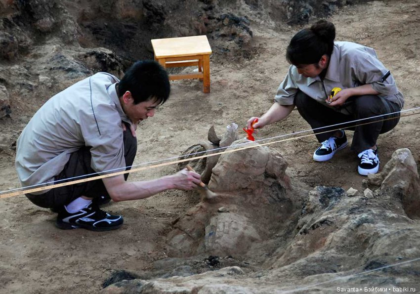 Терракотовая армия Китая — Авторская скульптура и статуэтки: гипс