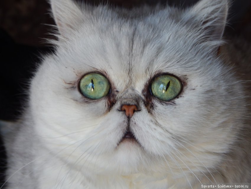 Моя коллекция обуви на кукол БЖД и не только. На холодное время года. Ботинки, сапожки. Часть 2