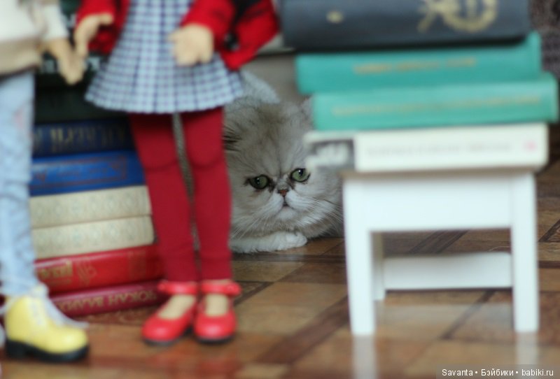 Моя коллекция обуви на кукол БЖД и не только. На тёплое время года. Туфли разные. Часть 1