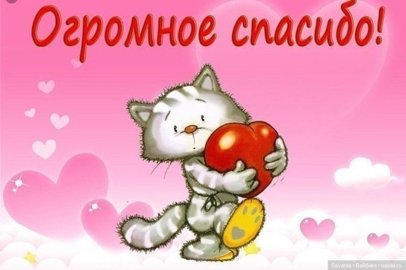Картинки спасибо с котом