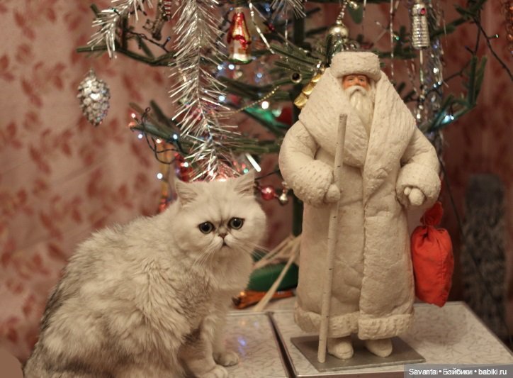 Новый год. 2023 — Куклы Kaye Wiggs (Кайе Виггс): авторские BJD (БЖД)