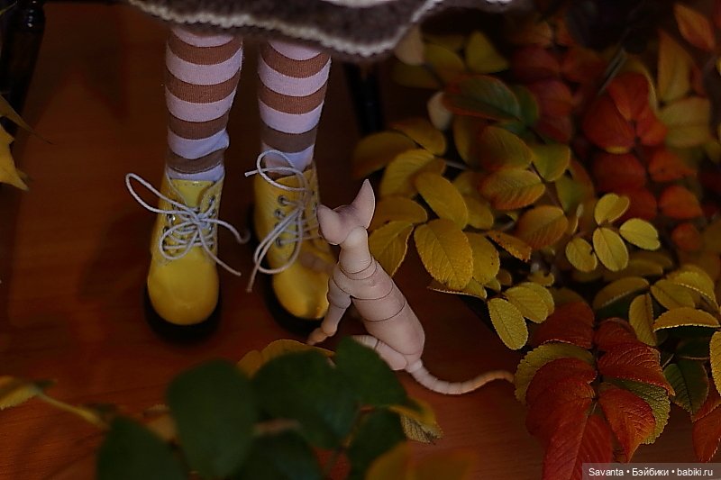 Осенняя пора, очей очарованье. И кукла Лариса от Кае Вигс
