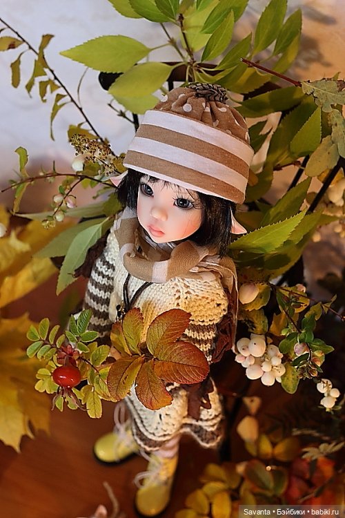Осенняя пора, очей очарованье. И кукла Лариса от Кае Вигс (фото 5)