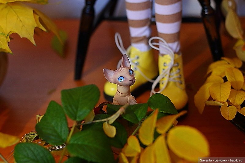 Осенняя пора, очей очарованье. И кукла Лариса от Кае Вигс