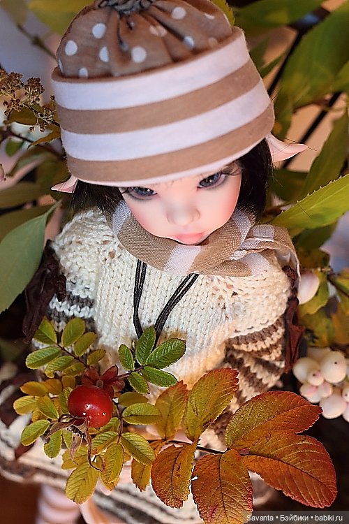 Осенняя пора, очей очарованье. И кукла Лариса от Кае Вигс (фото 8)