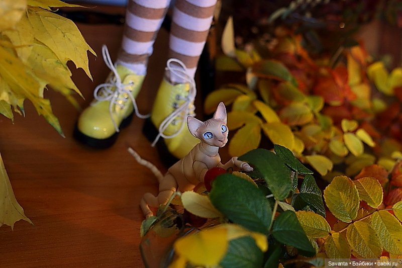 Осенняя пора, очей очарованье. И кукла Лариса от Кае Вигс