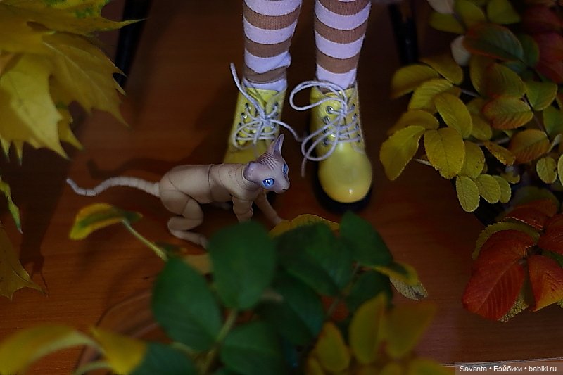 Осенняя пора, очей очарованье. И кукла Лариса от Кае Вигс