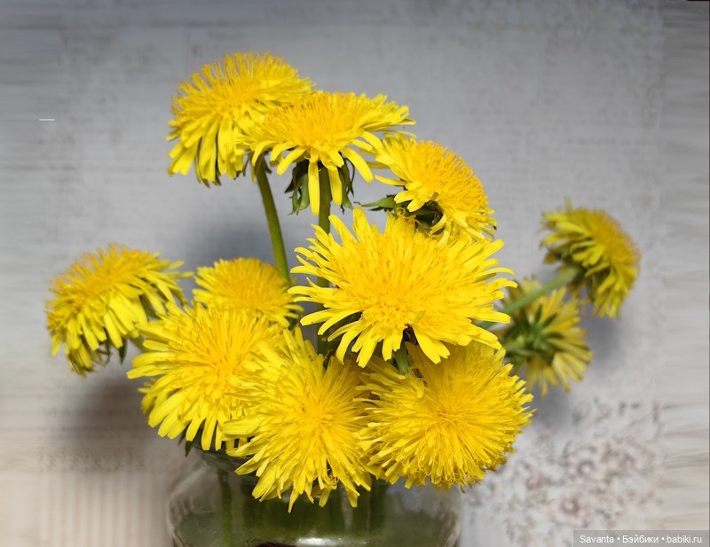 Келли малышки одуванчики — Куклы Kelly (Келли): Сестра Барби (фото 4)