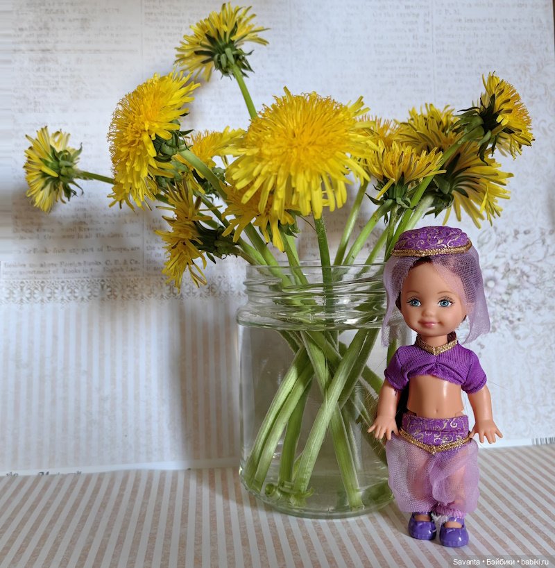 Одуванчики, Жасмин и Пуансетия. Цветики цветочки