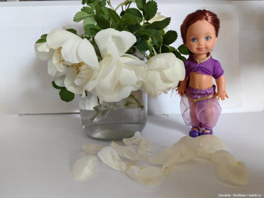 Куколки Келли и дикий белый шиповник