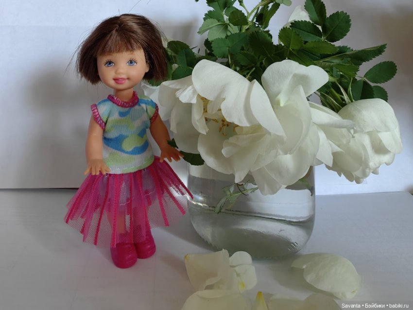 Куколки Келли и дикий белый шиповник