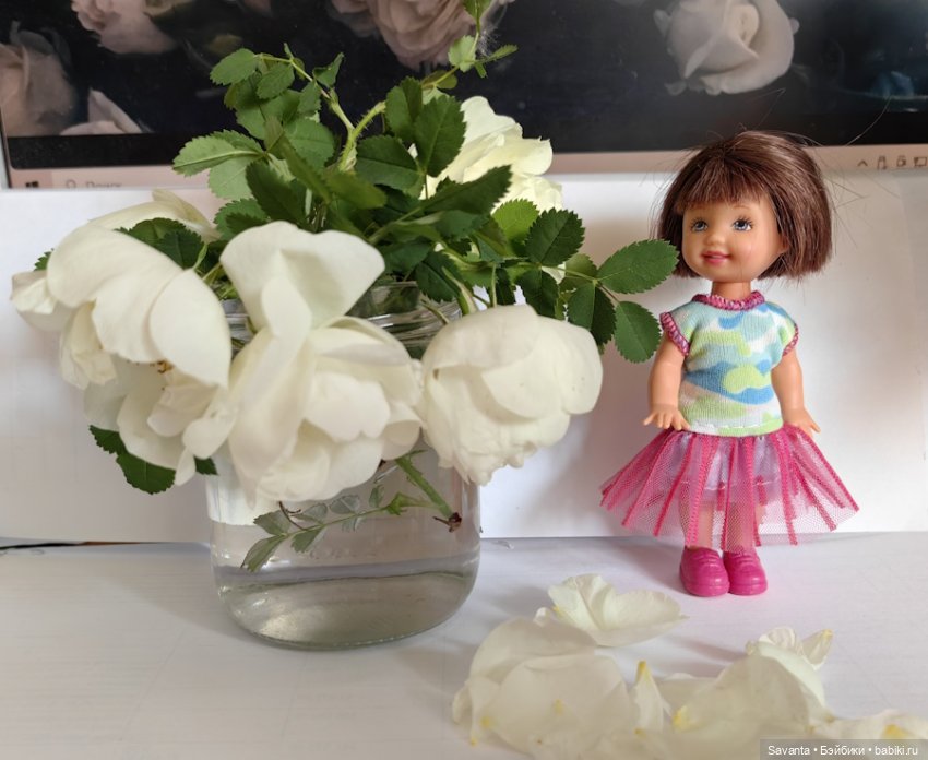 Куколки Келли и дикий белый шиповник (фото 8)