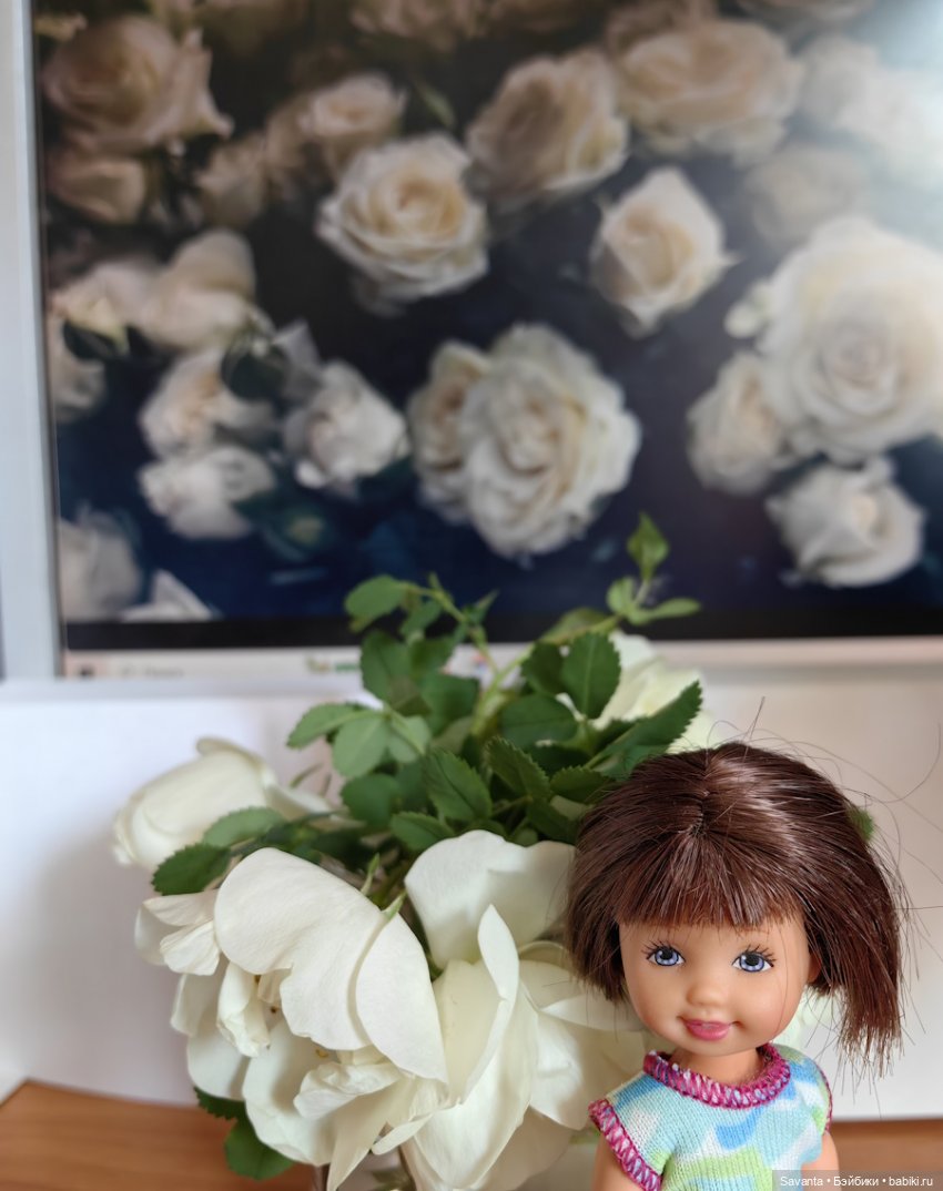 Куколки Келли и дикий белый шиповник (фото 4)