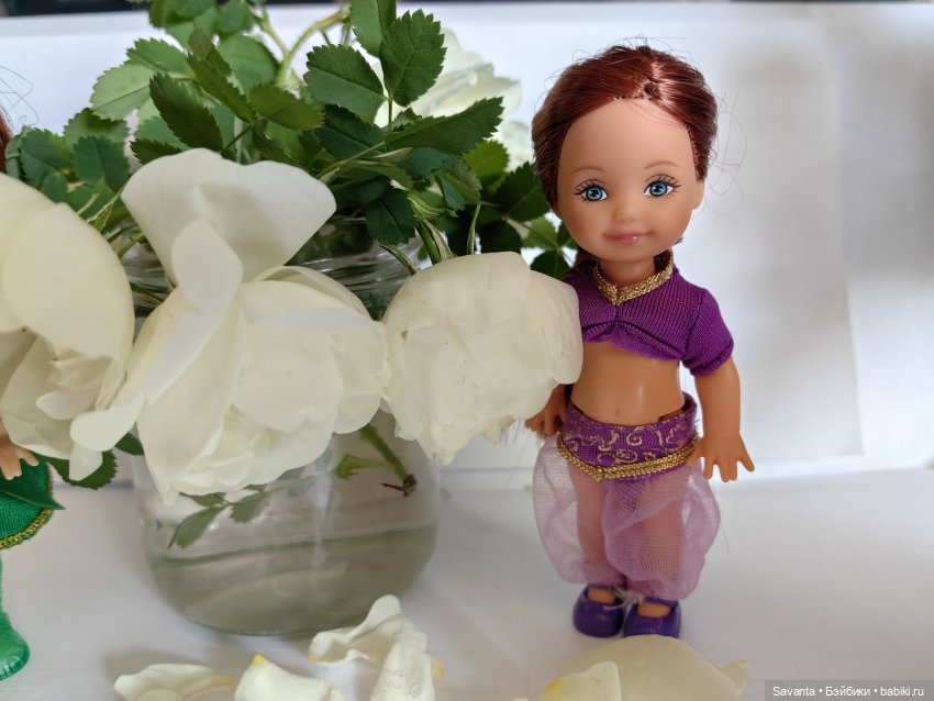 Куколки Келли и дикий белый шиповник