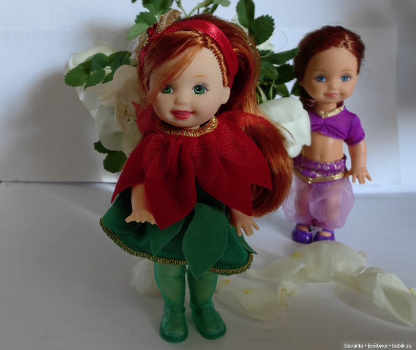 Куколки Келли и дикий белый шиповник