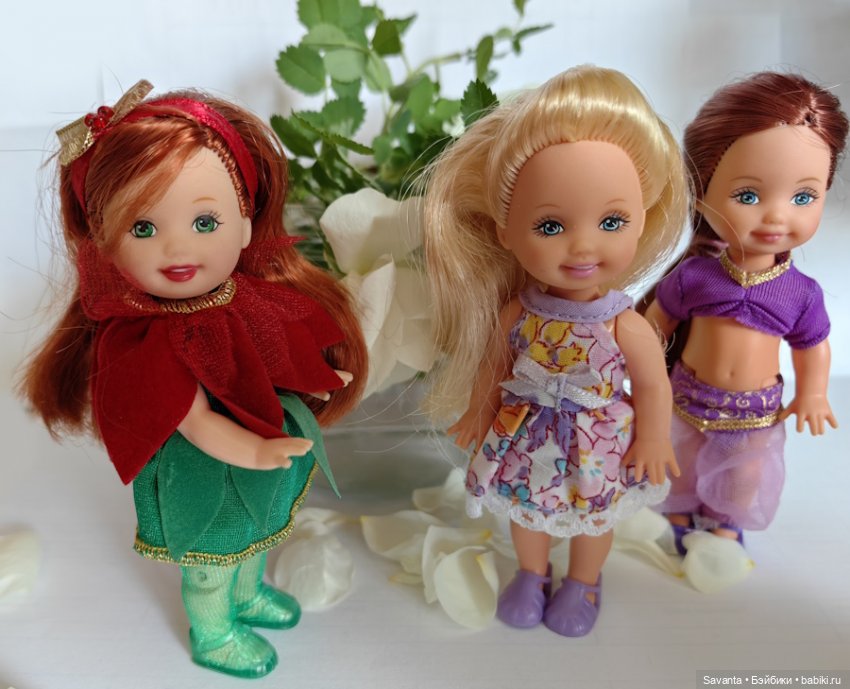 Куколки Келли и дикий белый шиповник