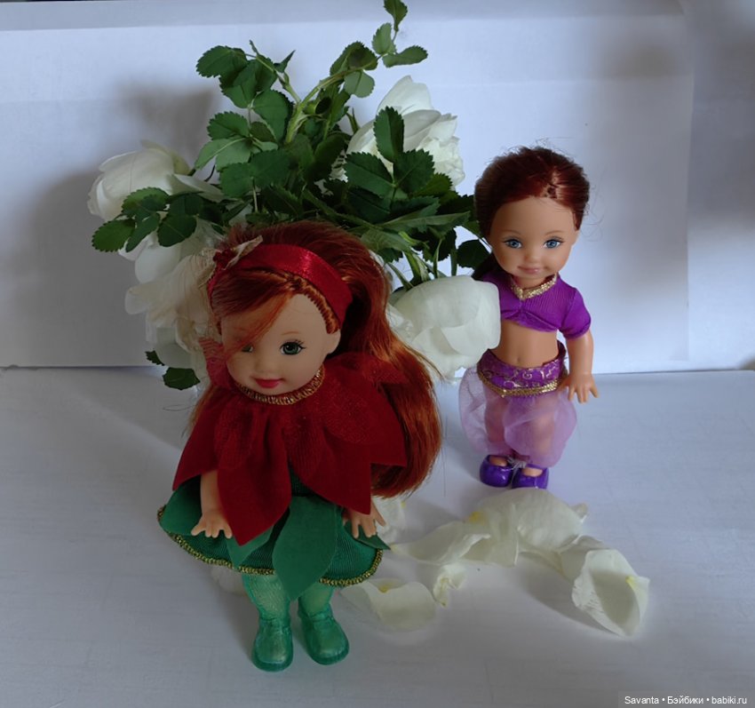 Куколки Келли и дикий белый шиповник