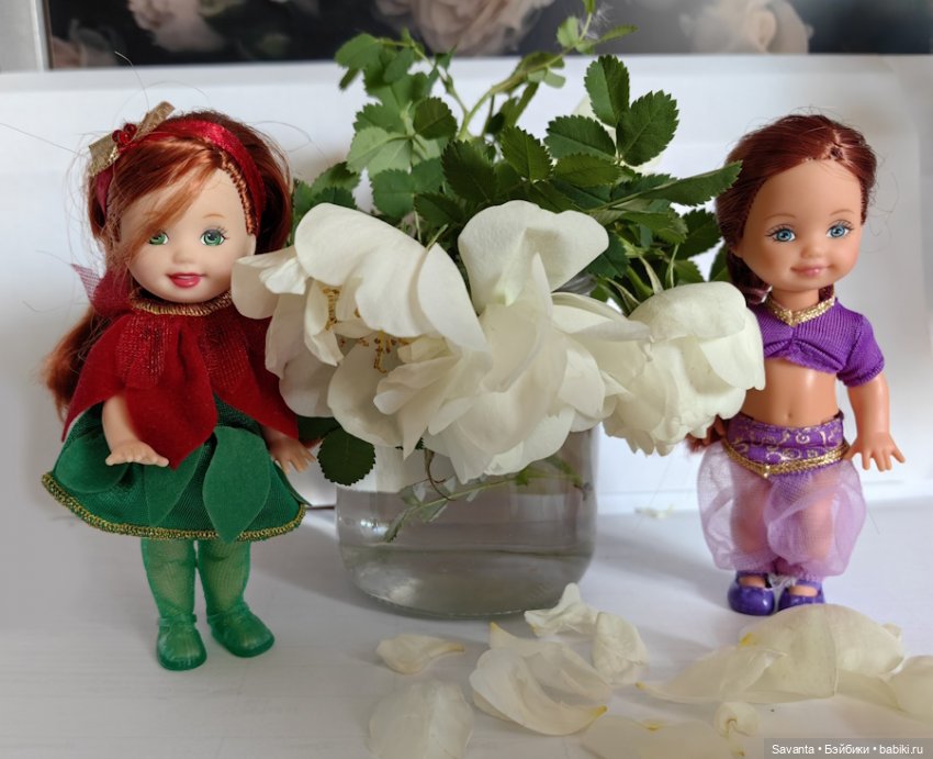 Куколки Келли и дикий белый шиповник