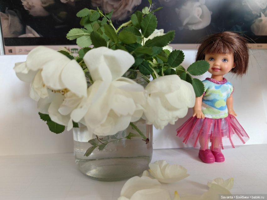Куколки Келли и дикий белый шиповник (фото 9)