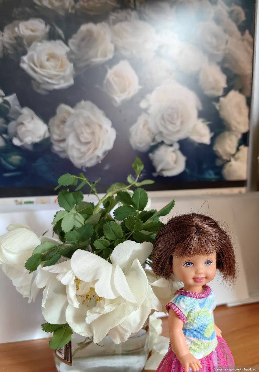 Куколки Келли и дикий белый шиповник (фото 5)