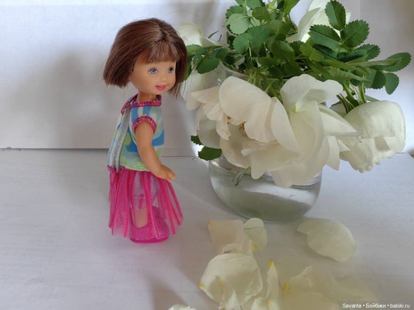 Куколки Келли и дикий белый шиповник
