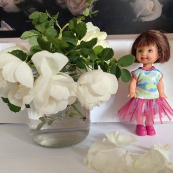 Куколки Келли и дикий белый шиповник