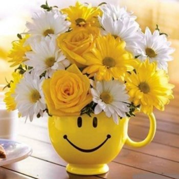 Нужен посредник для покупки куклы из Германии