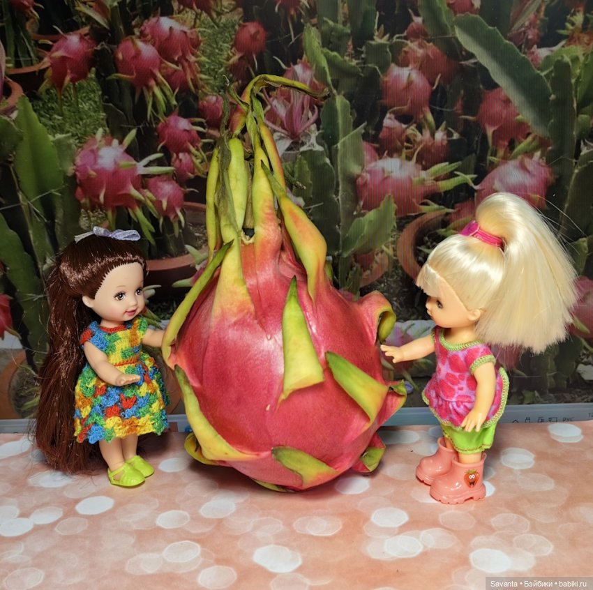 Куколки малышки Келли И Питахайя (фото 6)