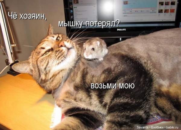 Мышки милашки и Луна — Куклы Nikki Britt (Никки Бритт): авторские BJD (БЖД) (фото 8)