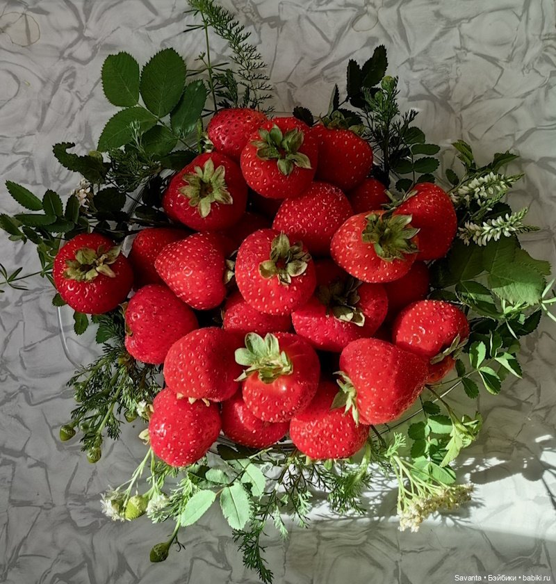 Куколки малышки Келли. По следам Яблочного Спаса. Фрукты.))) Много фруктов.)))