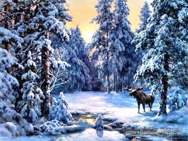 Как малыши Клара и Петерле от Schildkrot,нашли свой дом