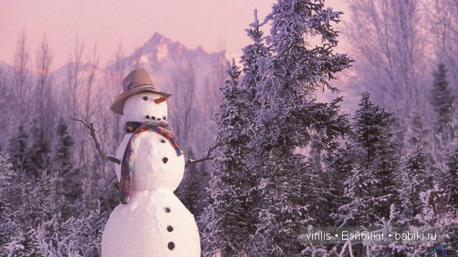 Как малыши Клара и Петерле от Schildkrot,нашли свой дом