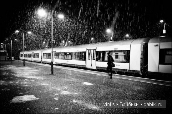 Как малыши Клара и Петерле от Schildkrot,нашли свой дом (фото 10)