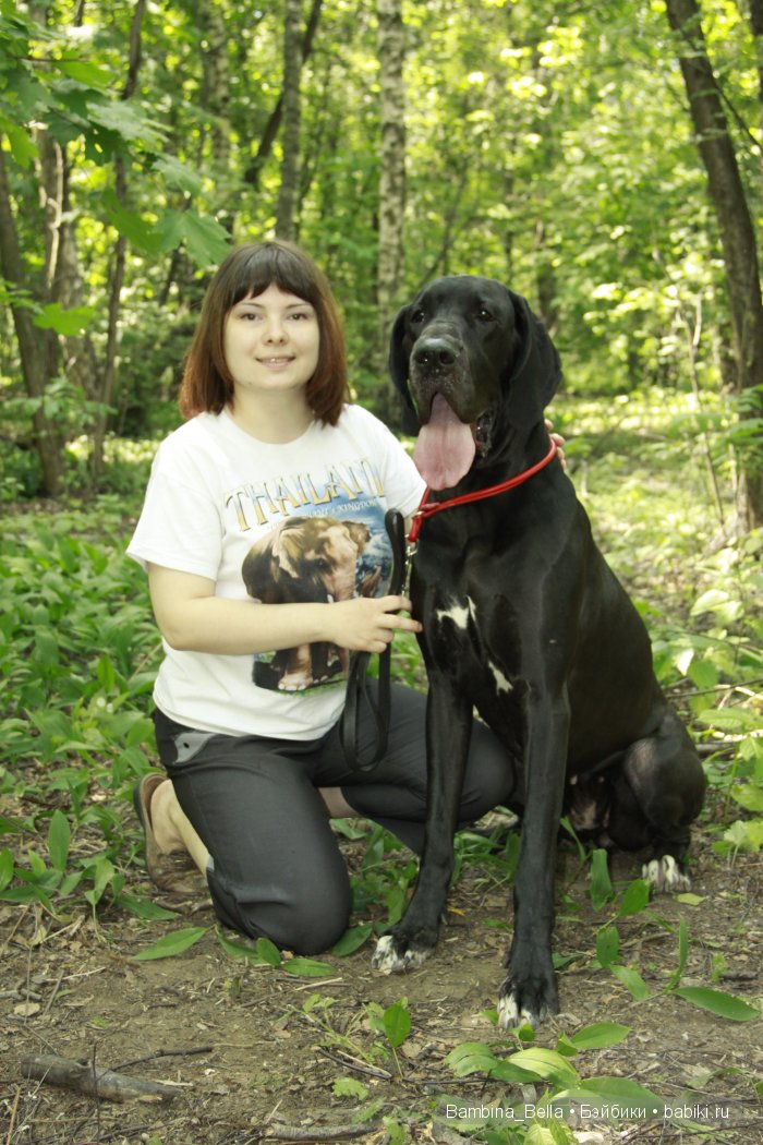Нет ни капельки сомненья, что собаку создал БОГ. И какие тут сравненья? Лучше ДОГА – только ДОГ | Бэйбики Нет ни капельки сомненья, что собаку создал БОГ. И какие тут сравненья? Лучше ДОГА – только ДОГ (фото 4)