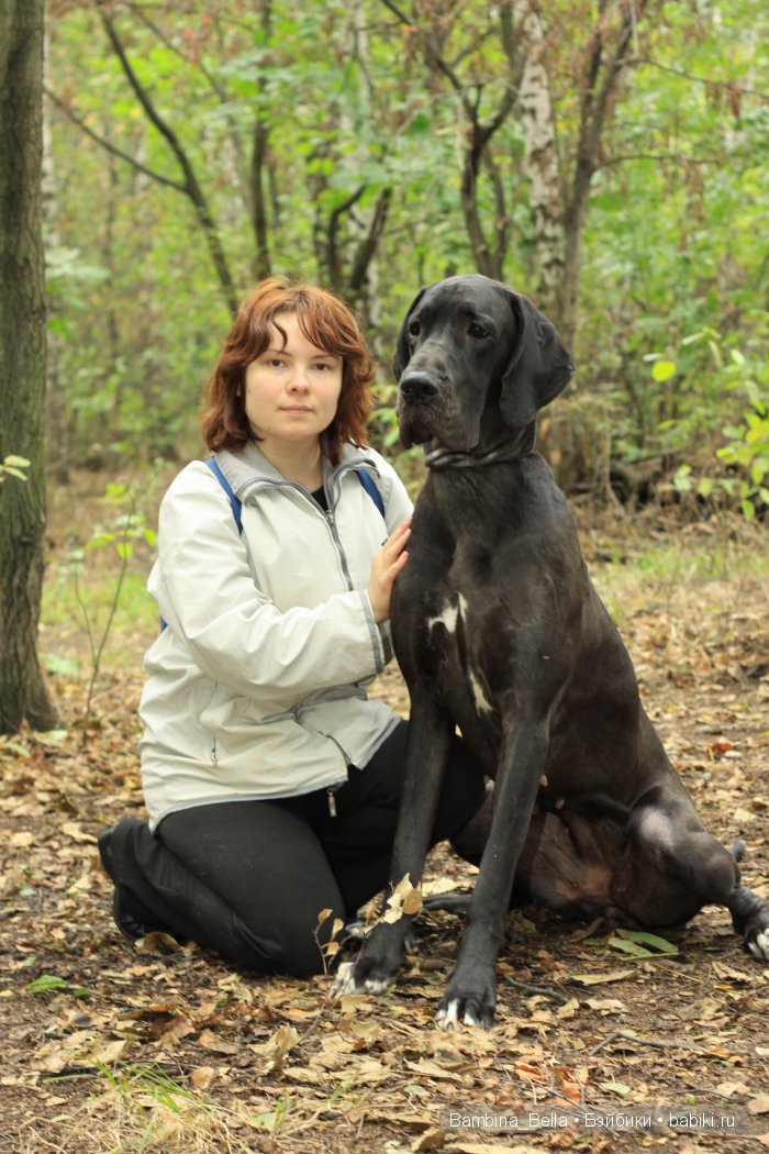 Нет ни капельки сомненья, что собаку создал БОГ. И какие тут сравненья? Лучше ДОГА – только ДОГ | Бэйбики Нет ни капельки сомненья, что собаку создал БОГ. И какие тут сравненья? Лучше ДОГА – только ДОГ (фото 5)
