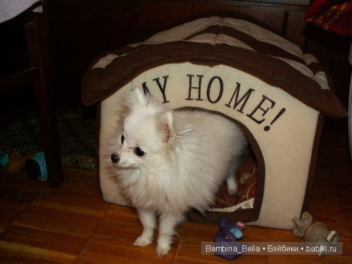 Маленькое белое облачко на четырех ножках | Бэйбики Маленькое белое облачко на четырех ножках (фото 2)