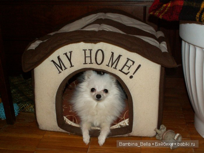 Маленькое белое облачко на четырех ножках | Бэйбики Маленькое белое облачко на четырех ножках