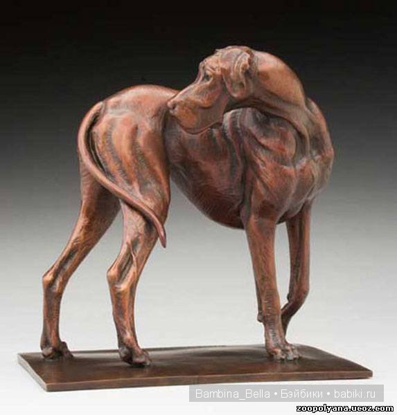 Луиза Петерсон (Louise Peterson) и ее музы – НЕМЕЦКИЕ ДОГИ (фото 6)