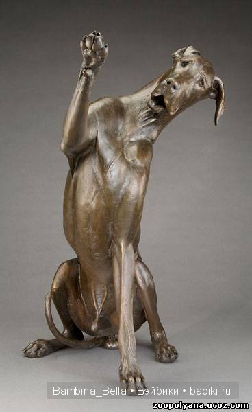 Луиза Петерсон (Louise Peterson) и ее музы – НЕМЕЦКИЕ ДОГИ (фото 3)