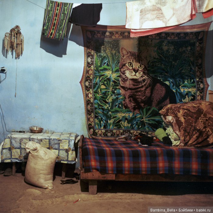 Законсервированные советские квартиры | Бэйбики Законсервированные советские квартиры