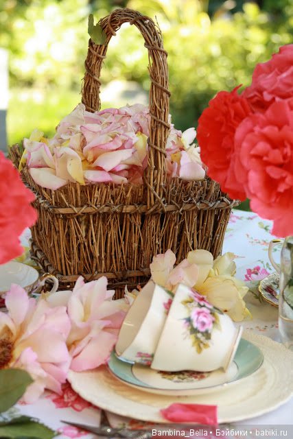 Привет из солнечной Болгарии | Бэйбики Привет из солнечной Болгарии (фото 6)