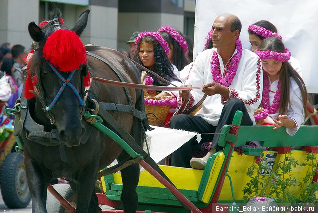 Привет из солнечной Болгарии | Бэйбики Привет из солнечной Болгарии