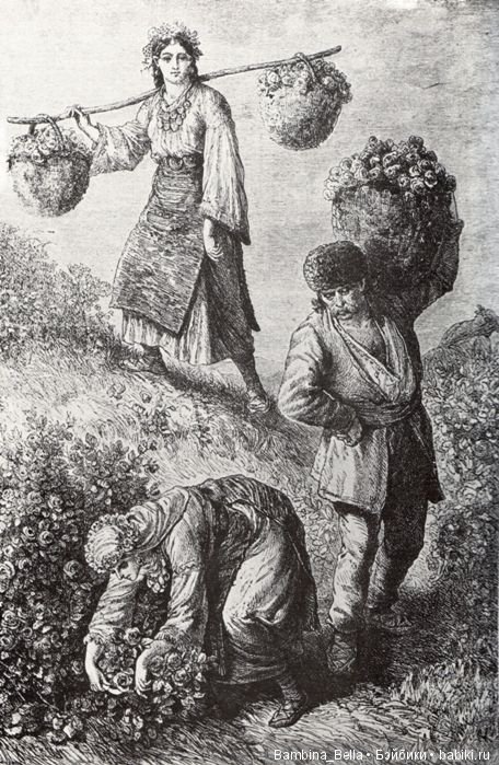 Привет из солнечной Болгарии | Бэйбики Привет из солнечной Болгарии (фото 9)