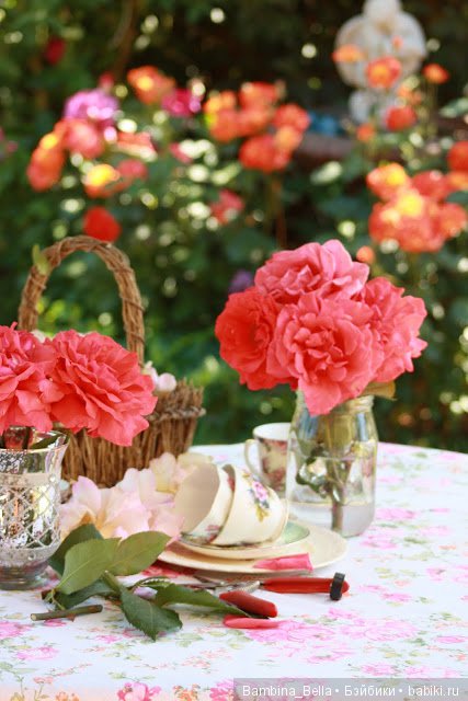 Привет из солнечной Болгарии | Бэйбики Привет из солнечной Болгарии (фото 7)