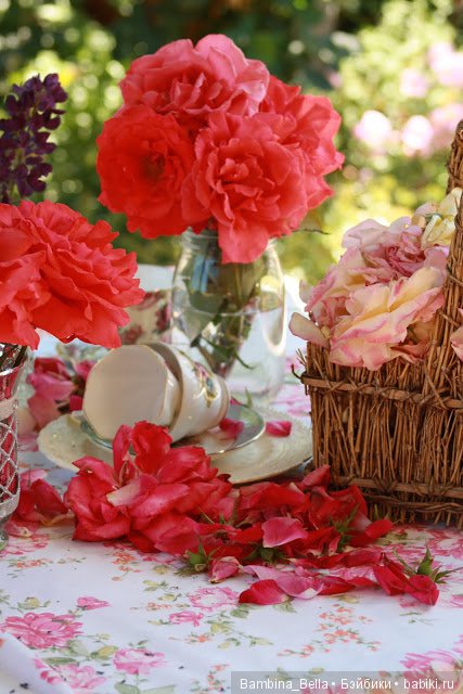 Привет из солнечной Болгарии | Бэйбики Привет из солнечной Болгарии (фото 8)