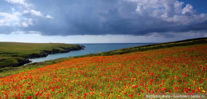 Красивейшие уголки земного шара, где природа не пожалела красок