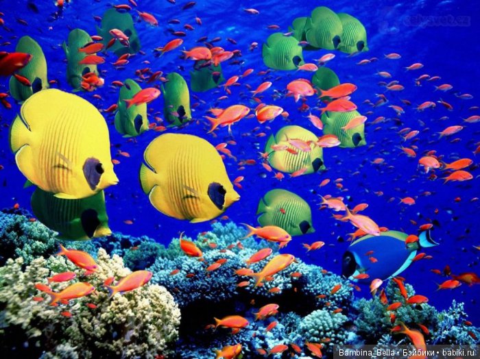 Красивейшие уголки земного шара, где природа не пожалела красок (фото 3)