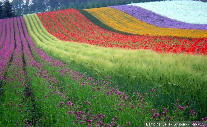 Красивейшие уголки земного шара, где природа не пожалела красок